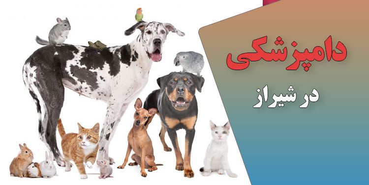 لیست کلینیک های دامپزشکی شیراز | پت لینک | دامپزشکی در شیراز