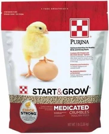 Chick starter یا غذای خشک جوجه بعد از گرفتن از سرلاک