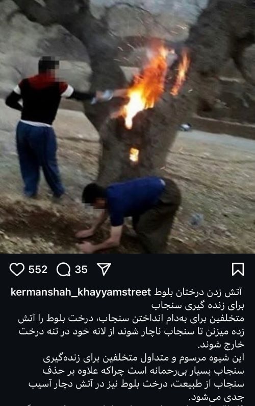 کمک به حیوانات با نخریدن حیوانات و گرفتن به سرپرستی