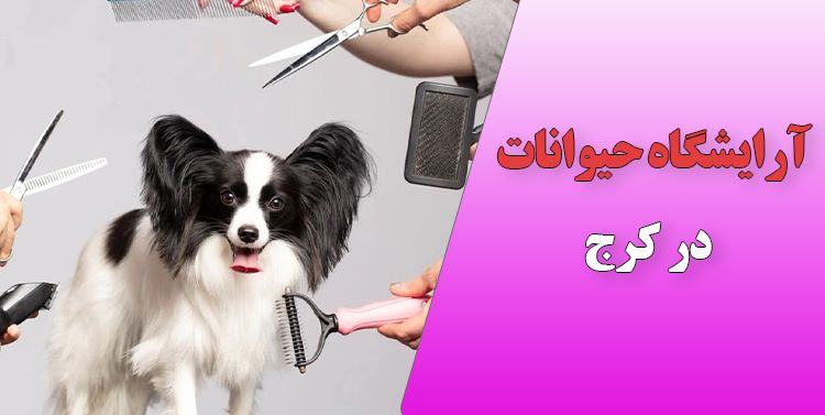آرایشگاه سگ در کرج | بهترین آرایشگاه حیوانات کرج 