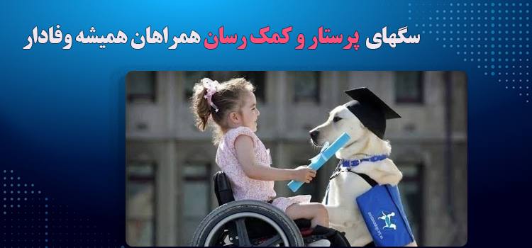 سگهای پرستار سالمند ، بیماران و کودکان در پت لینک 