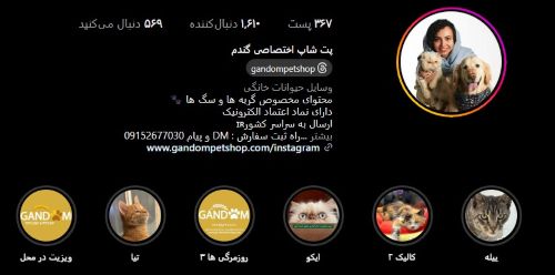 پت شاپ در مشهد | پت شاپ گندم در بلوار امام رضا مشهد 