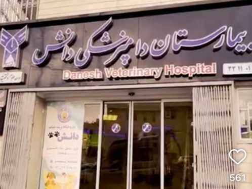پت شاپ شبانه روزی دانش در سعادت آباد | پت شاپ های شبانه روزی تهران 