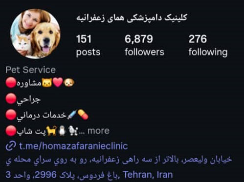 پت شاپ تخصصی شبانه روزی همای در زعفرانیه تهران