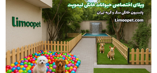 پانسیون خانگی لیموپت