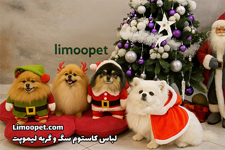 پانسیون خانگی لیموپت 