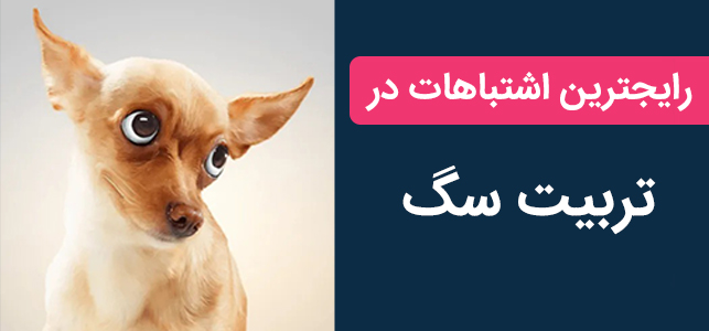 مهمترین اشتباهات در تربیت سگ که منجر به نافرمانی میشود