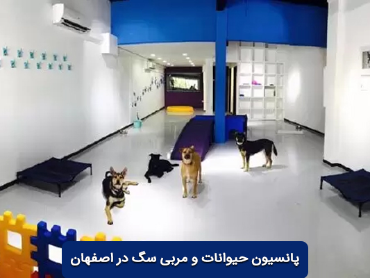 لیست بهترین مراکز پانسیون حیوانات و مربی های حرفه ای سگ در اصفهان