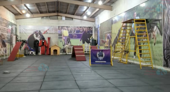 مربی سگ و پانسیون نگهداری از سگها در اصفهان - پارتاک