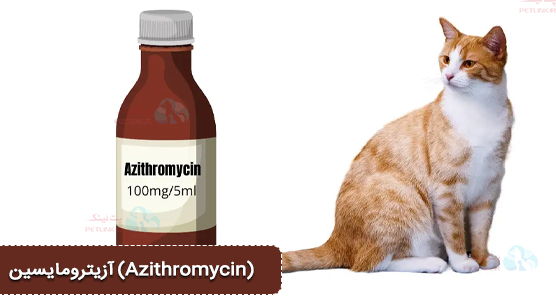 آزیترومایسین (Azithromycin) - آنتی بیوتیک مناسب کلسی ویروس