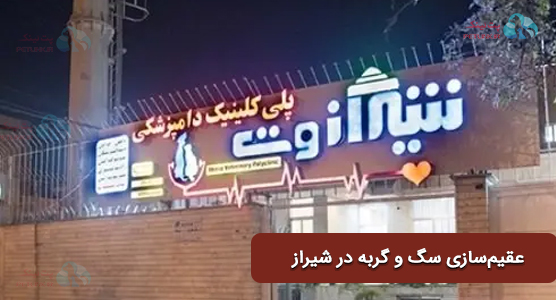 عقیم سازی سگ و گربه در شیراز | مراکز معتبر و راهنمای جامع