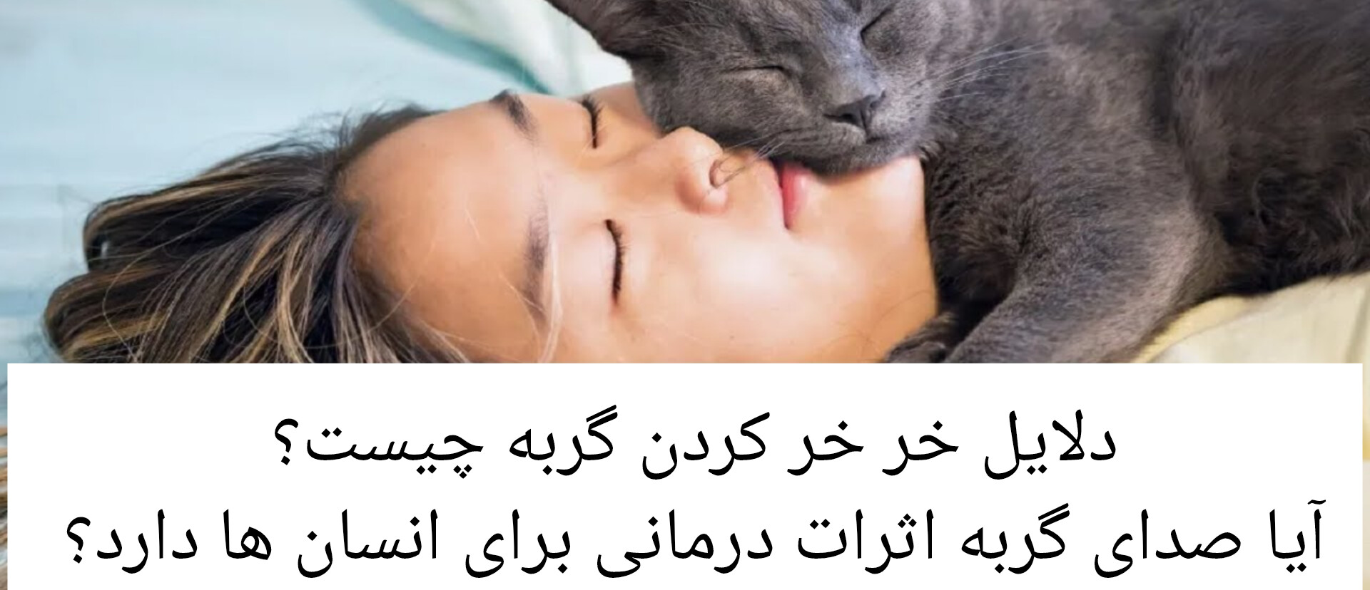 درمان با صدای فرکانس خرخر گربه تنظیم فشار خون و ریتم قلب 
