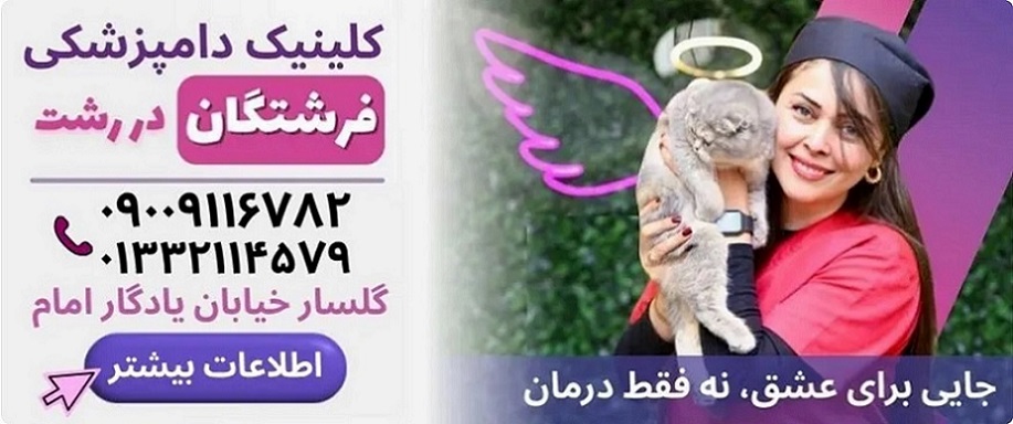 لیست بهترین دامپزشکیهای رشت