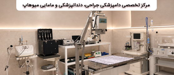 دامپزشکی تخصصی دندانپزشکی، جراحی و مامایی میوهاپ در شیراز