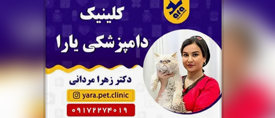 کلینیک دامپزشکی یارا دکتر زهرا مردانی در شیراز | دامپزشکی در شیراز