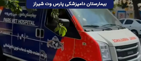 بیمارستان دامپزشکی پارس وت در شیراز | دامپزشکیهای شیراز