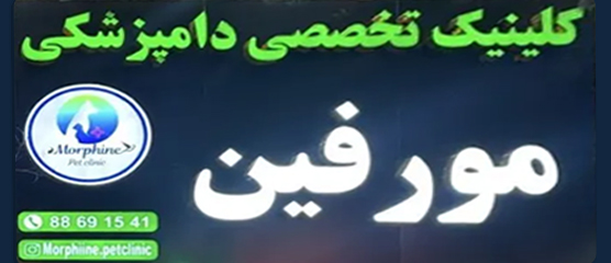 کلینیک تخصصی دامپزشکی مورفین | بهترین دامپزشکی های تهران 