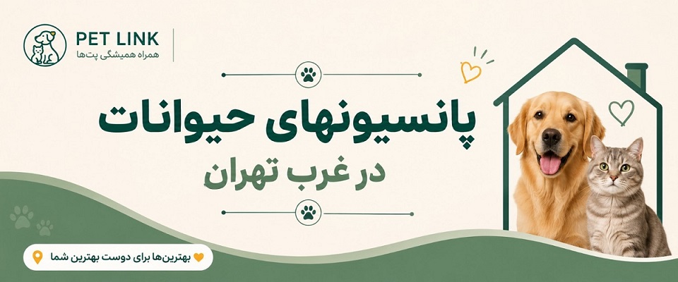 پانسیون سگ غرب تهران  | هتل حیوانات غرب تهران 
