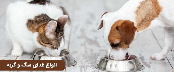 راهنمای انتخاب جیره و غذای مناسب برای سگ&zwnj;ها در پت شاپ های قم