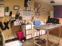 کلینیک دامپزشکی آران