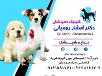 کلینیک دامپزشکی دکتر افشار رومیانی