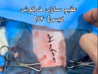 دامپزشکی بندرعباس خیابان حکمت | دامپزشکی های بندرعباس