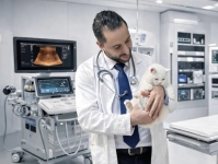 کلینیک دامپزشکی دکتر داودی نیا در تجریش