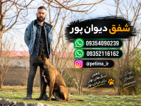 باشگاه تربیت سگ شفق دیوان پور - ویرایش