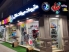 اطلاعات کامل پت شاپ تیله در رشت | پت شاپ در رشت