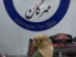بیمارستان دامپزشکی مهرگان در چهارمحال و بختیاری - ویرایش