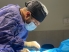 مرکز تخصصی جراحی دامپزشکی دکتر فلاح در نیاوران