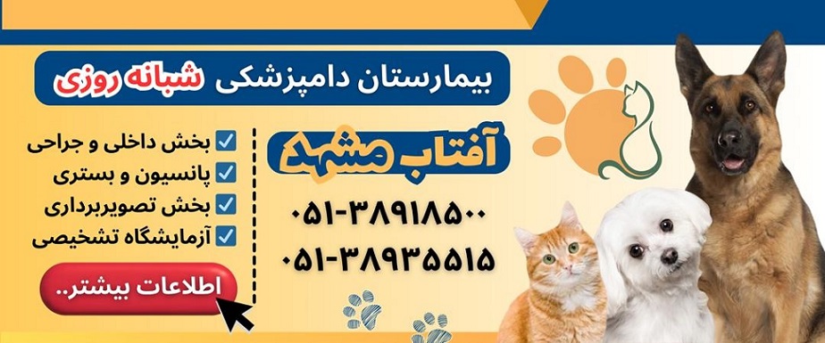 لیست دامپزشکیهای مشهد، دامپزشکی شبانه روزی آفتاب