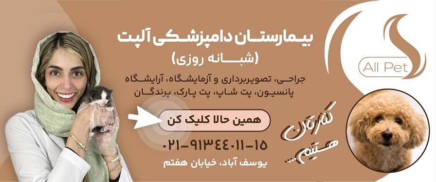 دامپزشکی شبانه روزی آلپت در یوسف آباد