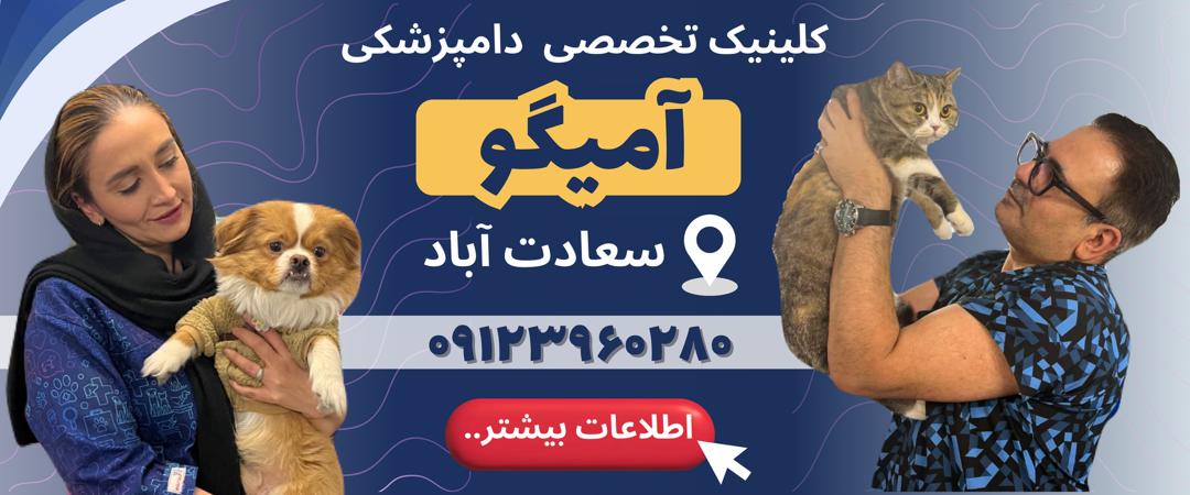 کلینیک دامپزشکی آمیگو در سعادت آباد