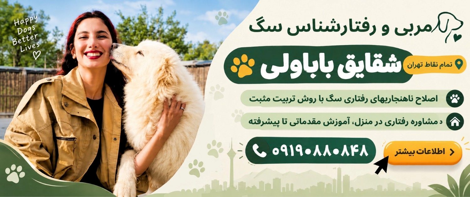 تربیت و رفتارشناسی سگ داگ هاوس