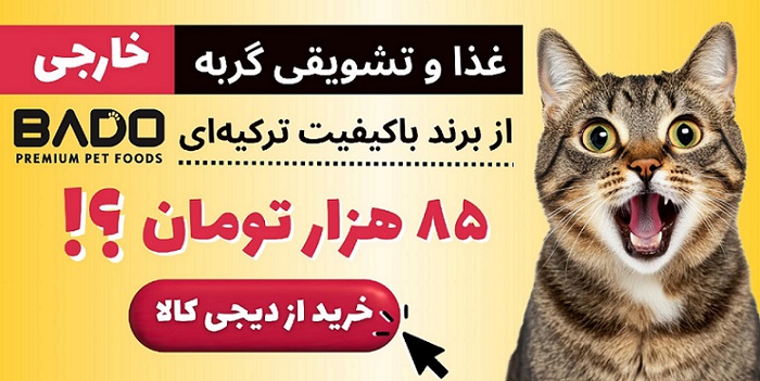 غذاب گربه و تشویقی گربه بادو bado