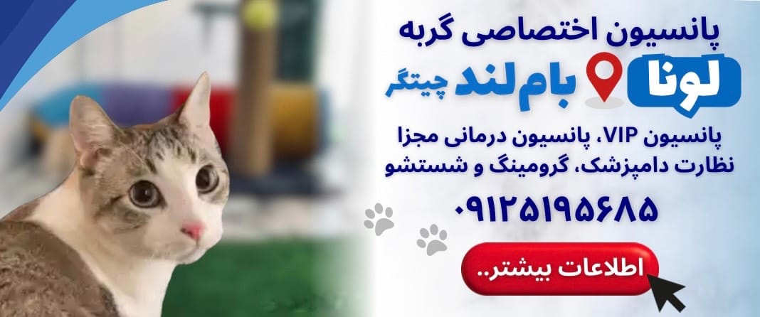 پانسیون تخصصی گربه لونا در بام لند چیتگر
