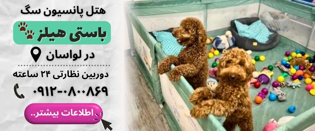 لیست پانسیون های شرق تهران، پانسیون باستی هیلز