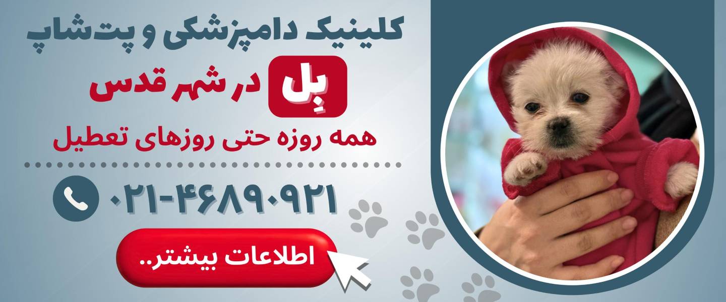 کلینیک دامپزشکی و پت شاپ بل در شهر قدس