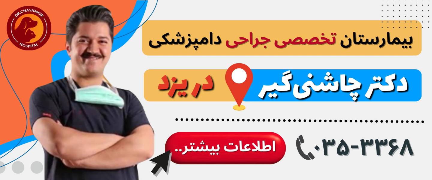 بیمارستان تخصصی جراحی حیوانات دکتر چاشنی گیر در یزد
