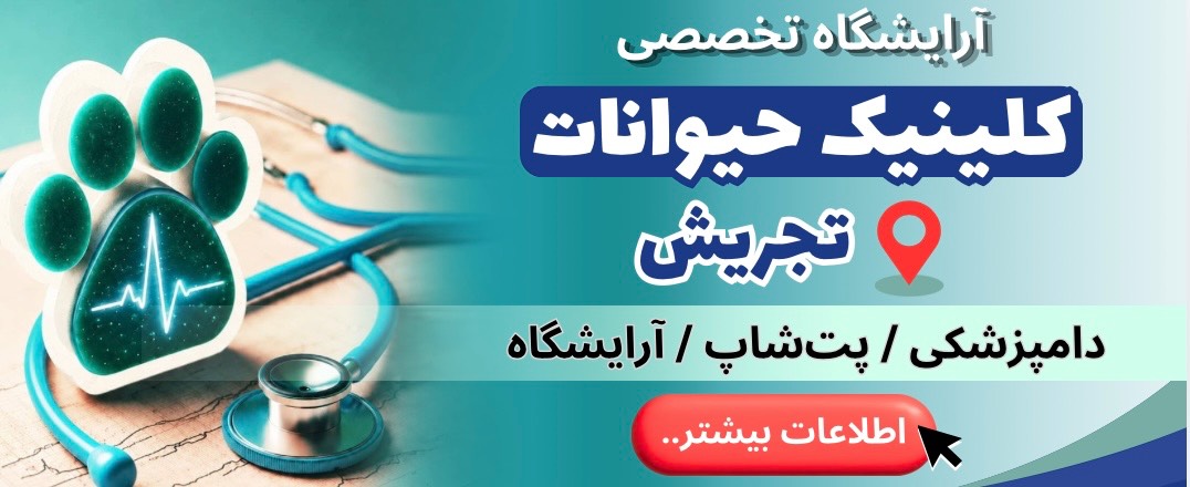 دامپزشکی و آرایشگاه کلینیک حیوانات در تجریش