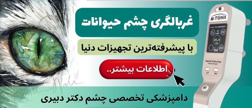 دامپزشکی تخصصی چشم و پوست دکتر دبیری در ساری