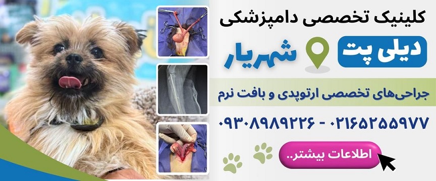 لیست دامپزشکیهای شهریار، کلینیک دامپزشکی دیلی پت