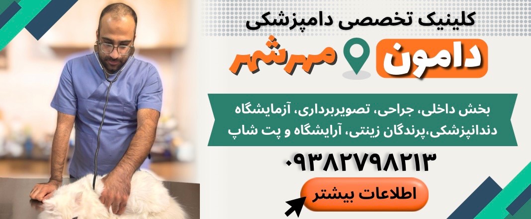 کلینیک دامپزشکی دامون در مهرشهر کرج