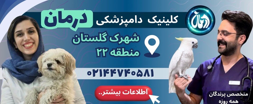 کلینیک دامپزشکی درمان در شهرک گلستان (منطقه 22)