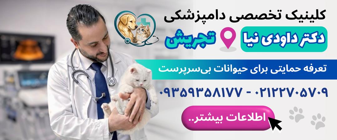 کلینیک دامپزشکی دکتر داودی نیا در تجریش
