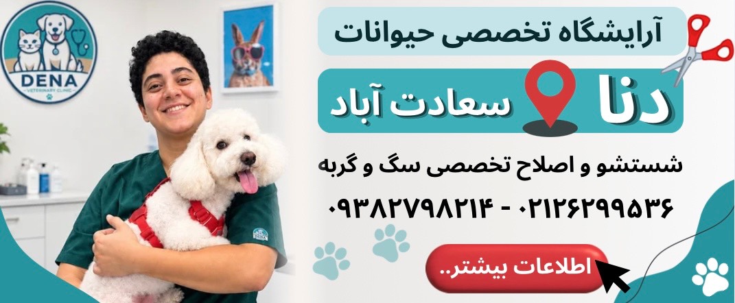 آرایشگاه تخصصی حیوانات دنا در سعادت آباد