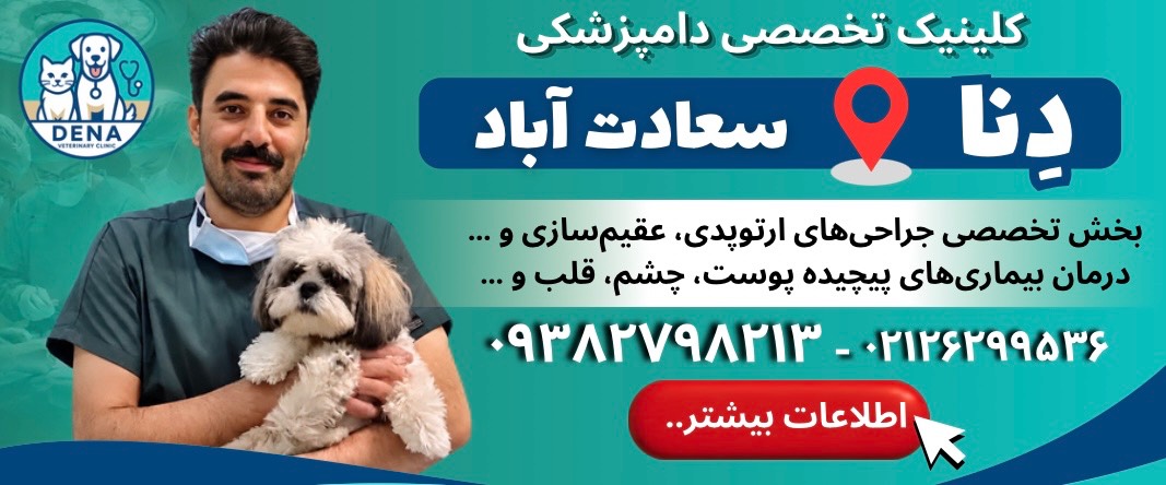 کلینیک دامپزشکی دنا در سعادت آباد