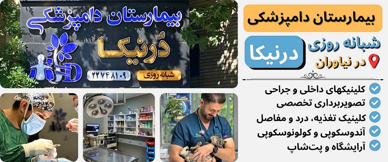 دامپزشکی درنیکا در نیاوران