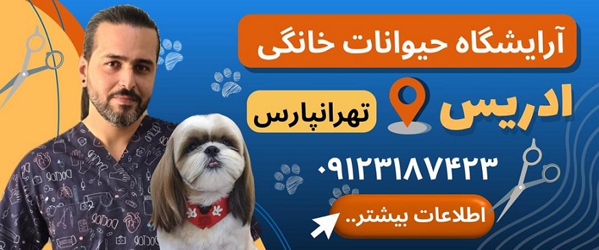 آرایشگاه حیوانات خانگی ادریس